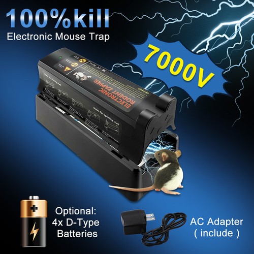Electronic mouse trap - mouse, rat