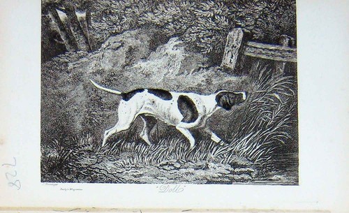 Original old antique print - old,