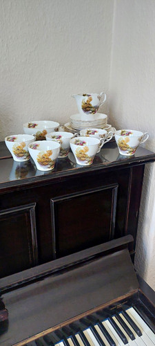 Shelley bone china - shelley,