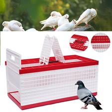 Racing Pigeon Carrier Box Bird
