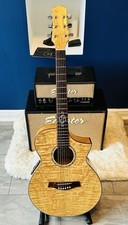 Ibanez exotic wood - exotic, serious
