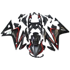 Injection Fairing Kit Bodywork