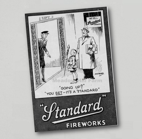 Fridge magnet standard - fridge,