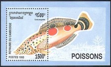 Cambodia 1995 Wrasse/Fish/Marine/Nature/Wildlife 1v m/s ref:b8209