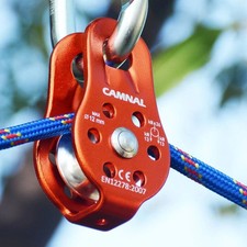 Rock tree climbing - rock, pulley