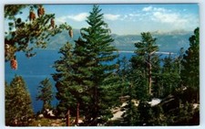 SOUTH LAKE TAHOE, California CA ~Giant Pine Cones D.L. BLISS STATE PARK Postcard