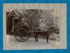 VICTORIAN PHOTOGRAPH PONY & TRAP, MAN IN STRAW BOATER