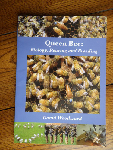 Queen bee biology rearing - bee:,