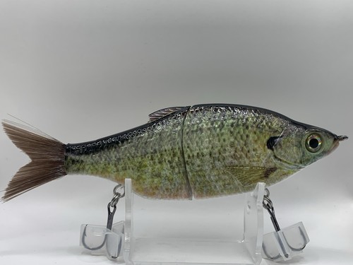 Tyg bluegill glide bait - glide,