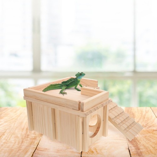 New bearded dragon - bearded, basking