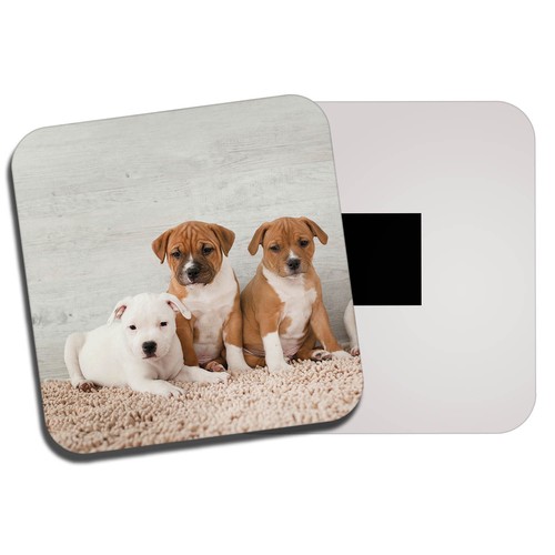 Cute staffie puppies fridge - staffie,