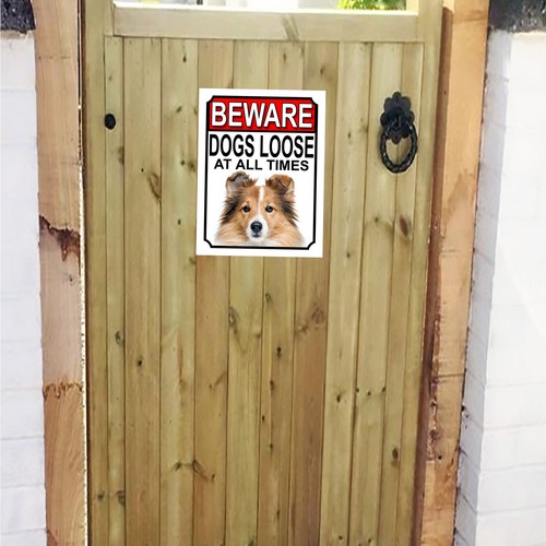 Beware dogs loose shetland - loose,