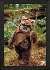 Ewok 1 Framed Wall Art Poster