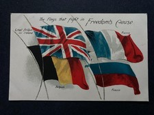 Fight in Freedom's Cause the