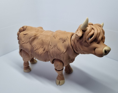 Highland cow fully - a,