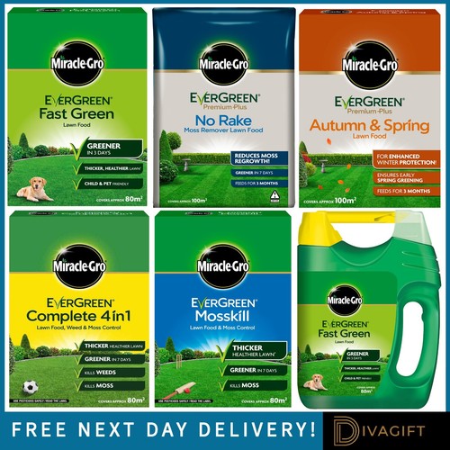 Fast lawn liquid food - lawn,