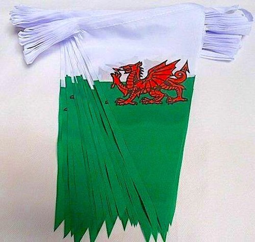 Metre wales welsh dragon - wales,