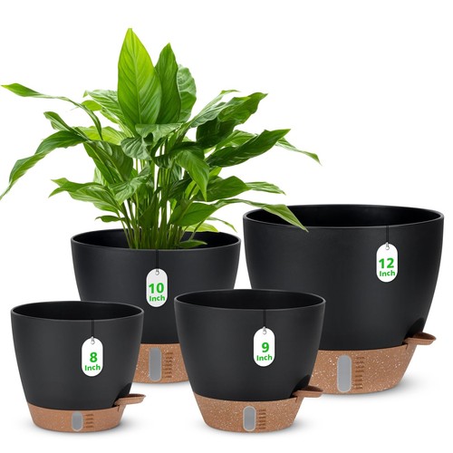 8 self watering - 12", 8"
