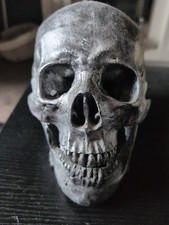 Silver Skull Ornament Resin