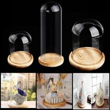 Glass Dome Display Bell Jar Cloche Wood Base Figure Action Storage Display Decor