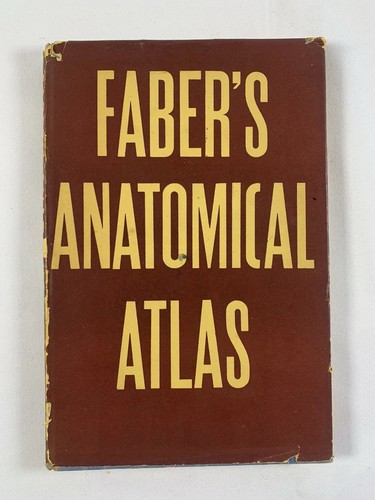 Vintage faber anatomical - vintage, faber’s