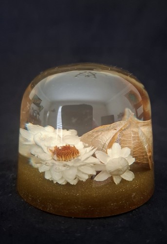 Vintage lucite paperweight - lucite,