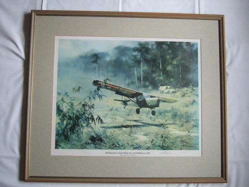 David shepherd signed - -,