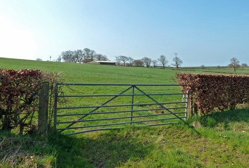 Photo 6x4 towards - towards, clews