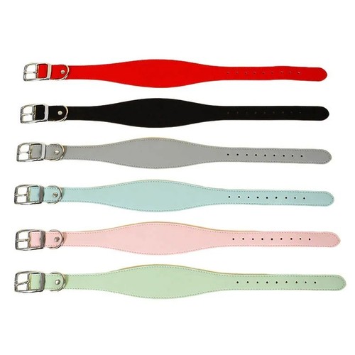 Whippet leather dog collar - whippet,