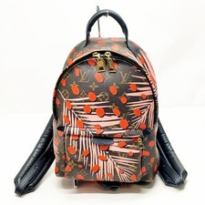 Louis Vuitton LV BackPack Bag