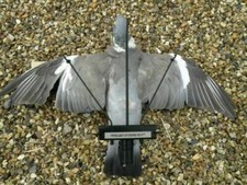 Turbo pigeon flapper with - flapper,