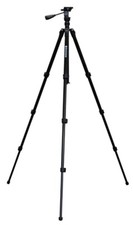 New Viking Badger Spotting