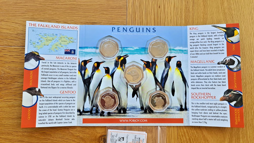 2018 falkland islands penguins - islands,