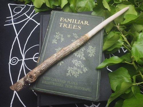 Dorset rowan wand - rowan,