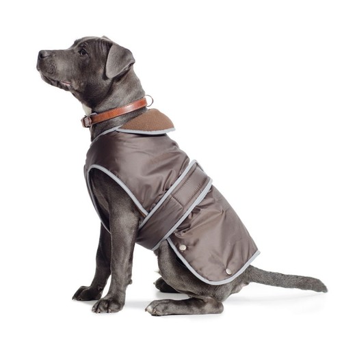 Ancol muddy paws all - muddy,