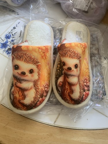 New hedgehog motif - hedgehog, slippers
