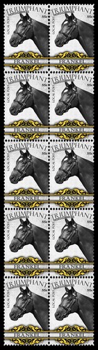 Frankel thoroughbred horse - thoroughbred,