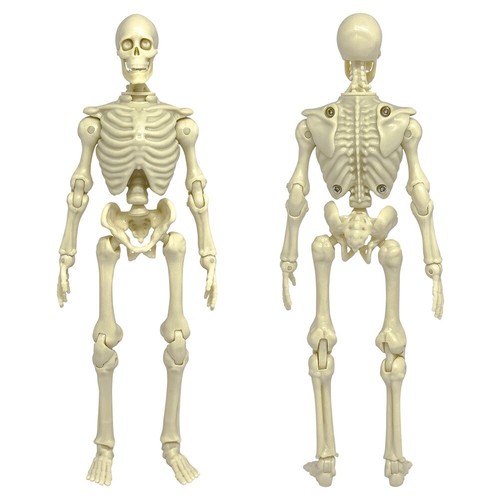 Super articulated inch - super,
