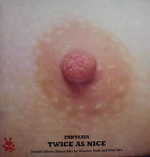 Various - Fantazia - Twice As Nice - Double Vinyl Album - 1993 - Fantazia