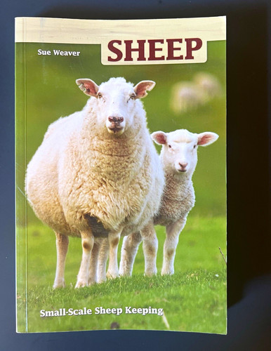 Sheep small scale - small-scale,