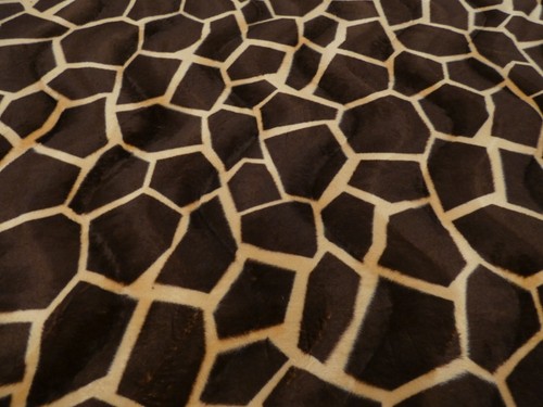 Animal print faux fur velvet - fur,