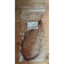 Catappa Indian Almond Leaves for Shrimp Discus Betta Fish Blackwater