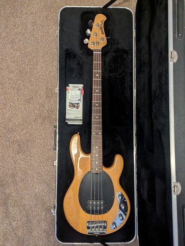 Ernie ball music - man, stingray