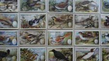 BIRDS NESTS & EGGS SERIES
