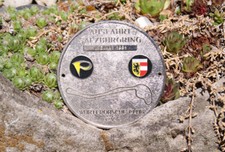 VINTAGE AUTOMOBILE CAR.BADGE #