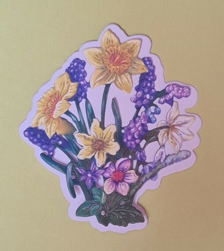 Tattered lace wildflower - 6,