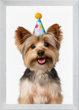 Yorkie Puppy with Birthday Hat
