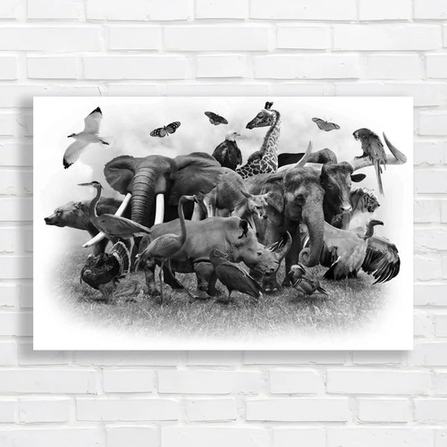 Wild animals birds collage - wild,