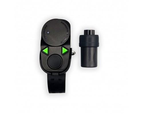 President radio remote bt - president,