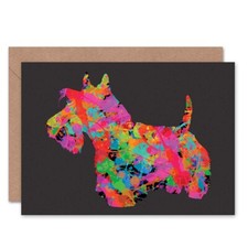 Scottish Terrier Dog Colourful
